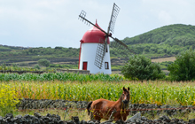 azores hike stay in graciosa